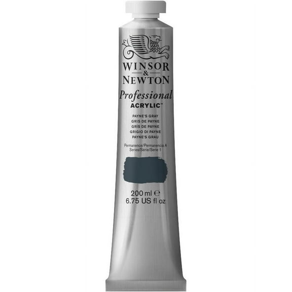 Winsor & Newton Artists' Acrylic Color, 200ml, Payne's Gray