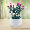 thumbnail image 2 of Limei Decor Plants Vivid Amaranthine Decorative Simulation Plant Wear-resistant Practical for Home, 2 of 7