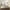 Ivory, variant on Queen Bed Frame Upholstered Bed with Tall Headboard, Velvet Platform Bed Queen Size, No Box Spring Needed, Easy Assembly, Blue