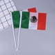 thumbnail image 3 of EeaseMX 50 banderas pequeñas de México para sujetar con un palo, banderas internacionales de países del mundo, banderines para decoración de fiestas., 3 of 7
