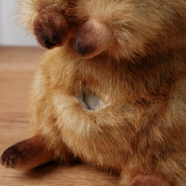 Realistic Quokka Stuffed Animal Plush Toy, Australia Animal