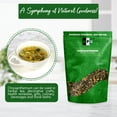 thumbnail image 5 of NPG Chrysanthemum Bud Tea 16 Oz, Top Grade Natural Dried Chinese Tai Ju Flowers, Juhua Tea, Refreshing Floral Fragrance, Caffeine-Free Herbal Loose Leaf Tea, Non-GMO, Sweet & Fresh, 5 of 7