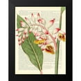 thumbnail image 2 of Dellal, Remy 15x18 Black Modern Framed Museum Art Print Titled - Vintage Botany II, 2 of 5