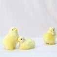 thumbnail image 6 of Handmade Lifelike Imitation Chicken Plush Toy - Easter Decoration and Teaching Aid, 6 of 6