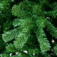 thumbnail image 3 of Northlight Full Colorado Spruce Commercial Artificial Christmas Tree - 15' - Unlit, 3 of 7