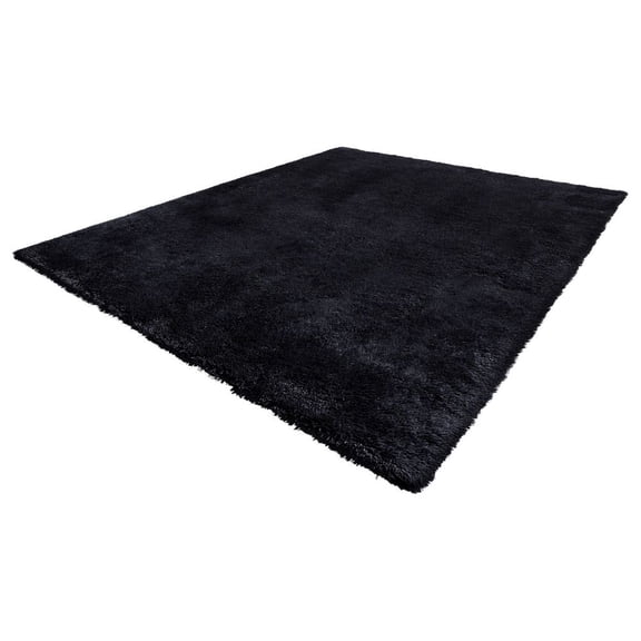 Indoor Plush Area Rugs, 8 x 10 ft Soft Plush Carpet, Furry Shag Area Rugs for Living Room, Bedroom, Sunroom, Modern Home Decor Aesthetic, Non-Shedding, Non-Woven, Slip-Resistant, Black