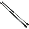 Heavy-Duty Gas Prop Lift Springs – Set Of 2 For Toolbox, RV, Or Lid Support, 160LB Pressure Each