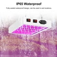 thumbnail image 3 of Mistaha Full Spectrum Plant Grow Lights LED Plant Grow Light Plant Growing Lamp for Indoor, 3 of 7