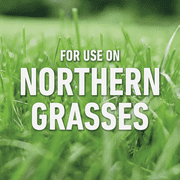 Roundup For Lawns Northern Formula Weed Killer - Pack of 2 — Residential Use, Standard Application