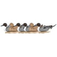 thumbnail image 2 of Flambeau Outdoors, 8022SUV, Pintail Decoys, Waterfowl Duck Decoys, 6 Pack, 19.5 inch, 7 Pounds, 2 of 5