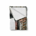 thumbnail image 2 of Modern Soft Flannel Fleece Throw Blanket, Abondoned Grunge Old Torn Interior 4 Side Brick Walls Cracks Rugged Rusty Photo, Cozy Plush for Indoor and Outdoor Use, 50" x 70", Grey Redwood, by Ambesonne, 2 of 6