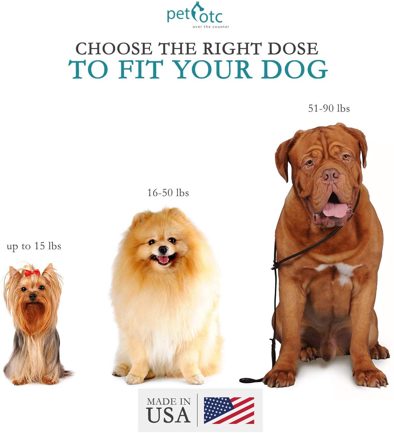 anti nausea medication for dogs over the counter