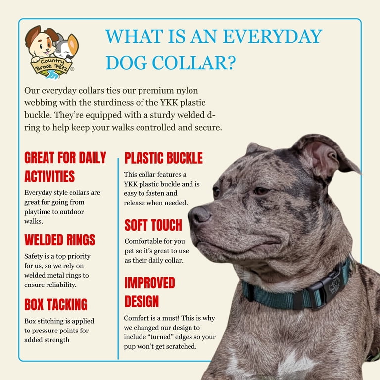 Country Brook Petz Everyday Green Nylon Dog Collar, Large photo 4