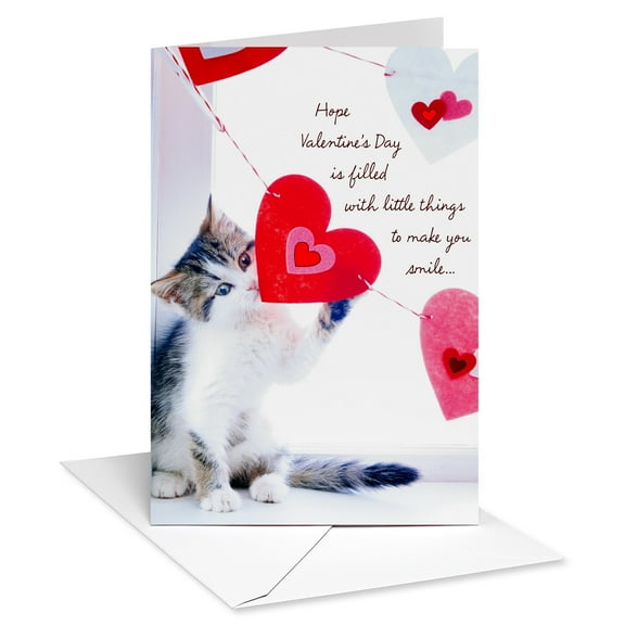 American Greetings Valentine's Day Card for Anyone (Kitten with Hearts)