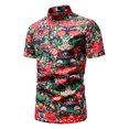 thumbnail image 1 of Camisa de manga corta con botones y solapa con estampado hawaiano para hombre Pompotops  oipoqjl47988, 1 of 9
