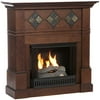 Chayse Gel Fireplace