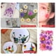 thumbnail image 4 of Conjunto de flores secas Billuyoard Decoración del hogar Tipo 5, 4 of 6