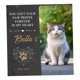 thumbnail image 4 of Piedra conmemorativa de perros de 6 pulgadas Remembrance Dog Fallstone de duelo Estilo cuadrado c, 4 of 8