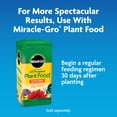 thumbnail image 6 of Miracle-Gro Moisture Control Potting Mix, For Container Plants, 50 qt., 6 of 13