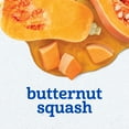 thumbnail image 3 of Gerber 2nd Foods Natural for Baby Baby Food, Butternut Squash, 4 oz Tubs (16 Pack), 3 of 11
