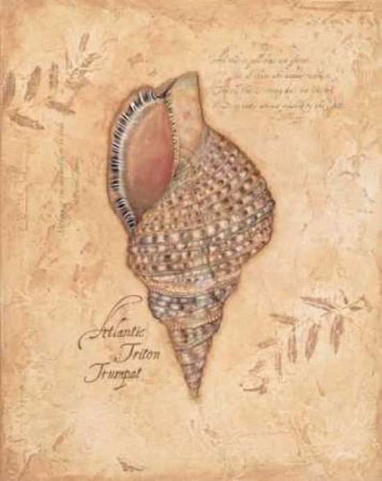 Atlantic Triton Can