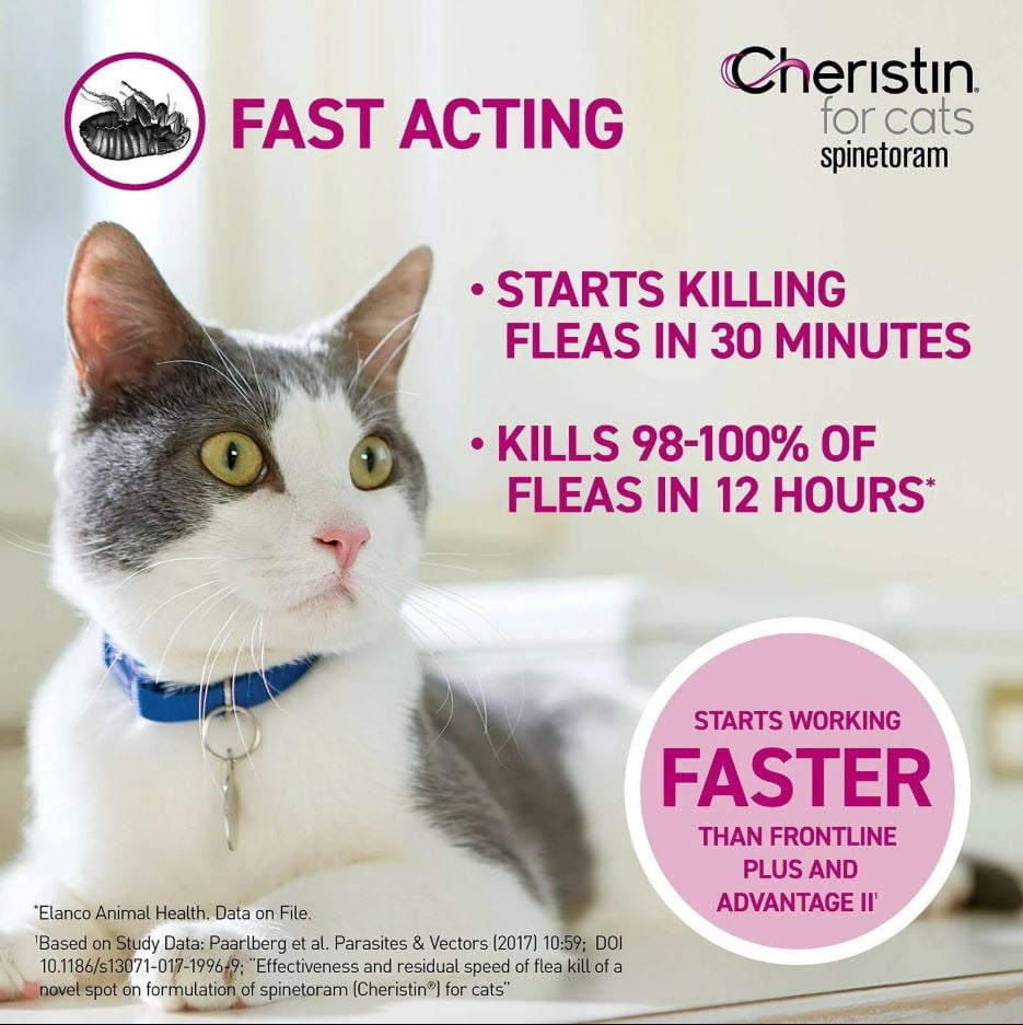 cheristin flea meds