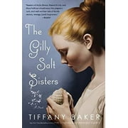 The Gilly Salt Sisters : A Novel 9780446557290 Used / Pre-owned