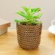 thumbnail image 4 of Simulación de flores falsas, bonsái grande suculento, decoración creativa a la moda, flor artificial en maceta, planta verde, 4 of 5