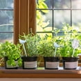 thumbnail image 3 of Automatic Indoor Plant Self Watering Globes for Clear and Sustained Watering In, 3 of 6