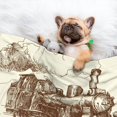 thumbnail image 3 of Yiaed Train Print Dog Blankets-Cat Blanket Washable for Couch Protection,Puppy Blanket, Soft Plush Reversible Throw Furniture Protector-Large, 3 of 8