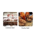 thumbnail image 3 of Cuchara Para Alimento, Cuchara Para Alimento Portátil, 3 Piezas, Resistente Al Desgaste, De Mano, Resistente Para Aves De Corral, 3 of 7