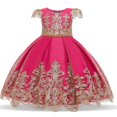 thumbnail image 1 of Vestido de fiesta para niñas de flores, vestido de princesa para niñas, vestido de boda con lazo, vestidos de desfile para niños, ropa para bebés de 0 a 8 años, cumpleaños 2T (etiqueta 100) Gao Jinjia LED, 1 of 2