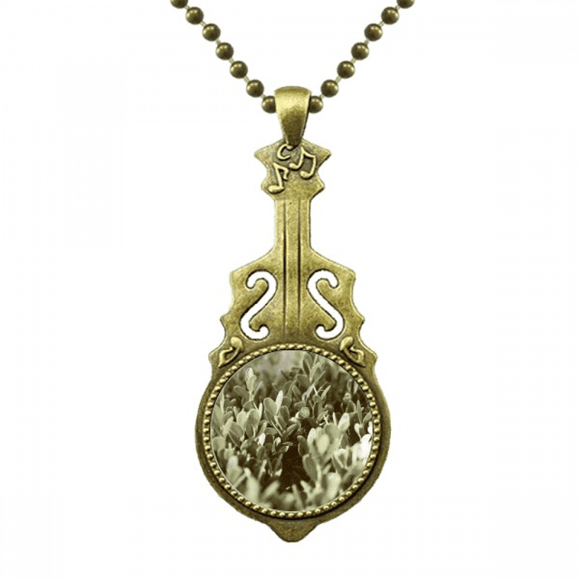 Naturaleza Planta sol sale la foto Collar Guitarra Antigua Joyería Música Colgantes Unbranded M