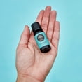 thumbnail image 2 of Edens Garden Cypress- Blue Essential Oil- 100% Pure Premium Grade, Undiluted, Natural, Therapeutic, Aromatherapy, The Best for Diffuser, Skin, Candle, Kid Safe 30 ml (1 fl oz), 2 of 9