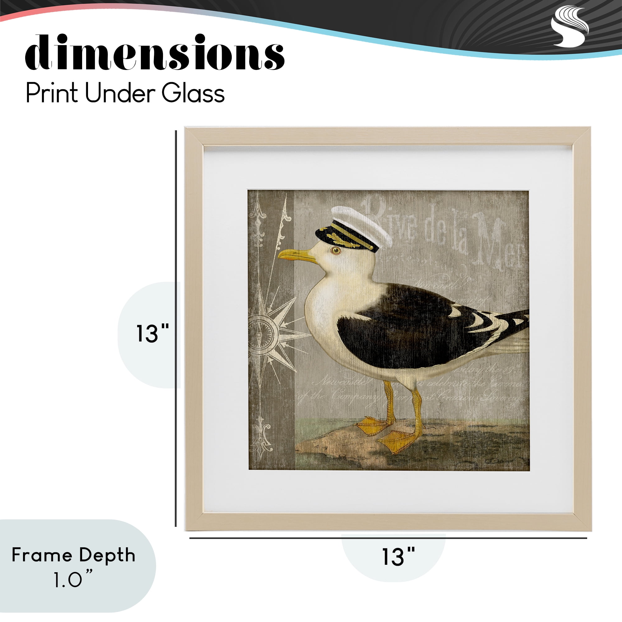 Stupell Industries Little Maritime Seagull Birch Framed Print Under Glass, design by Suzanne Nicoll