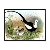 Designart 'Vintage Countryside Birds In Lake' Farmhouse Framed Canvas Wall Art Print