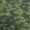 White stitching, variant on Dark Green/Olive Camo Women's Casual Leggings - Camo Color Code 0084