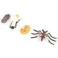 thumbnail image 2 of VGEBY Insect Life Cycle Figurines Growth Model Toy Kid Cognitive Educational Toys, 2 of 8