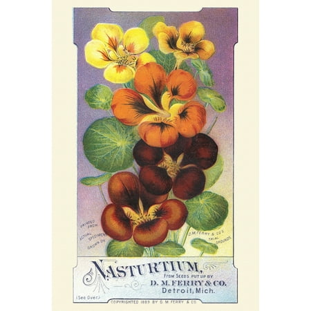 Ferrys Seed - Victorian trade card for a seed company DM Ferry & co showing the actual flowers you can grow Poster Print by unknown