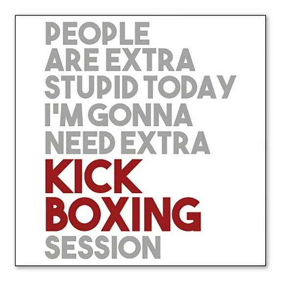 DistinctInk Custom Bumper Sticker - 8" x 8" Decorative Decal - White Background - People Are Stupid Need Extra Kick Boxing