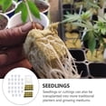 thumbnail image 3 of KAKOWELY 1Set Soilless Culture Kit with Slotted Net Cups and Assorted Color Wool Grow Cubes, 3 of 8