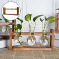 thumbnail image 4 of Maceta de vidrio, terrario, tubo de ensayo, florero para capullos con soporte de madera para L, 4 of 9