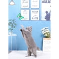 thumbnail image 3 of 2 Pcs Jouet Interactif pour Chat Cloche Artificielle Baguette Papillon Jouet d'Exercice pour Chat, 3 of 10