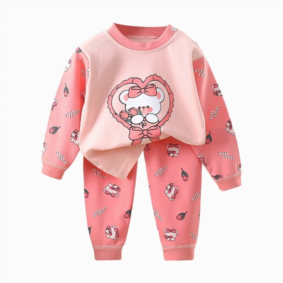 CAICJ98 Clothes for Toddler Baby Boys 3 6 12 18 24 Months 2T 3T 4T 5T Girls Fall Winter Outfits Long Sleeve Hoodie Sweatshirt Pant Clothes Set (Pink,3-6 Months)