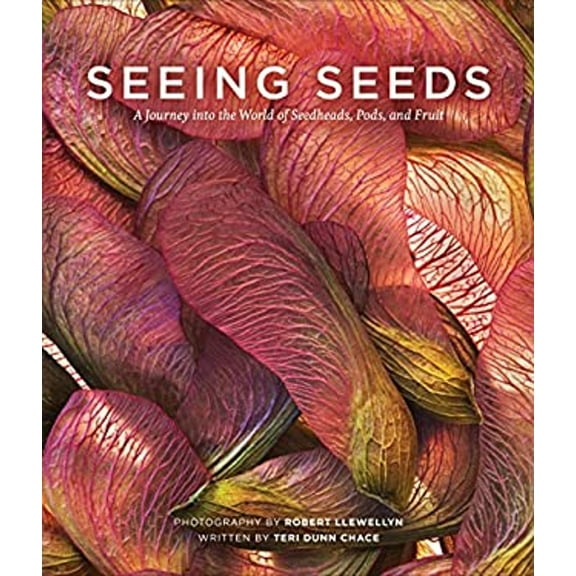 Pre-Owned Seeing Seeds: A Journey Into the World of Seedheads, Pods, and Fruit (Hardcover) 1604694920 9781604694925