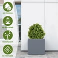 thumbnail image 6 of Poetree Artificial 24" Small Boxwood Tree, Faux Potted Topiary Plant, UV Resistant Indoor Outdoor Decor, Set of 2, 6 of 9