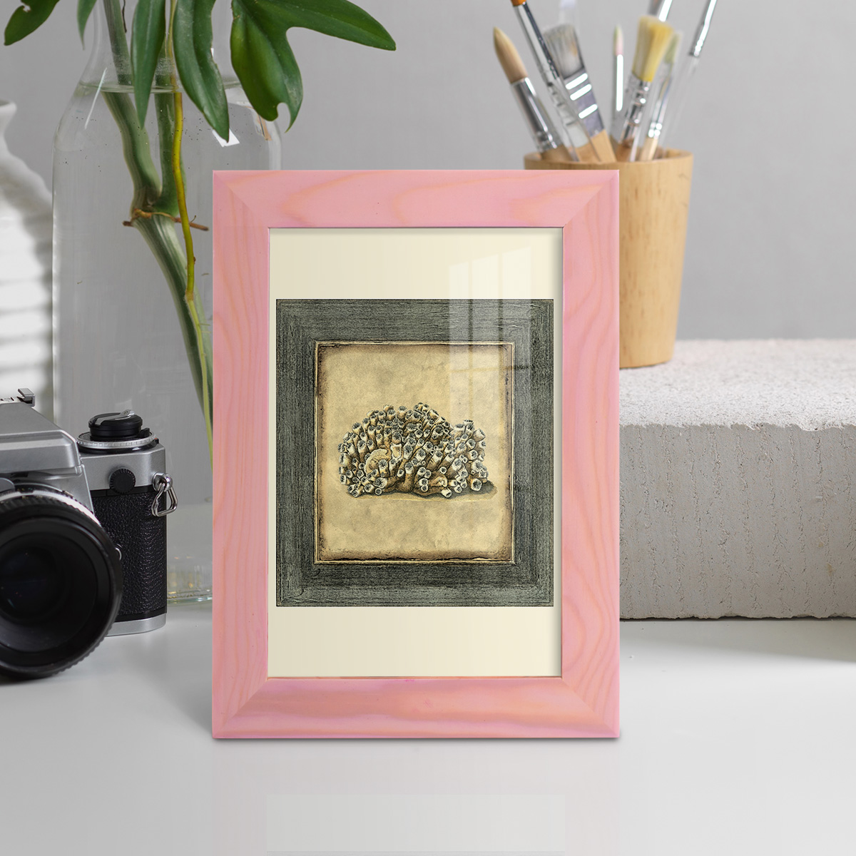 Mini Exotic Coral I (U) - Framed Print w/glass - Sunset Pink