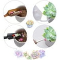 thumbnail image 2 of 13PCS Mini Garden Hand Tools Bonsai Succulent Miniature Planting Tool, 2 of 8