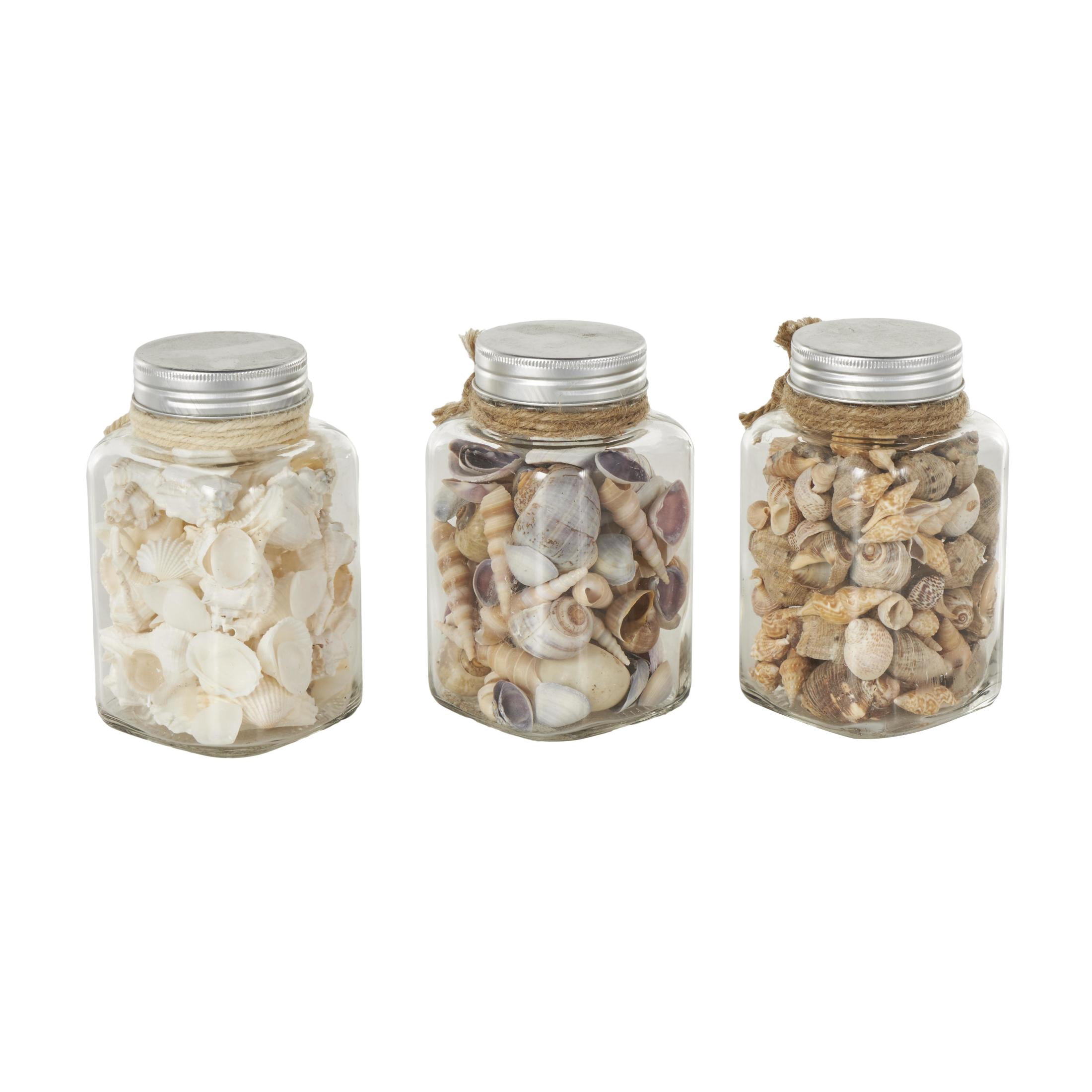 DecMode Clear 3" Glass Orbs & Vase Filler with Seashells and Jute Rope Accents (3 Count)
