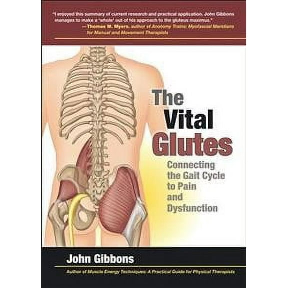 The Vital Glutes John Gibbons (Paperback)
